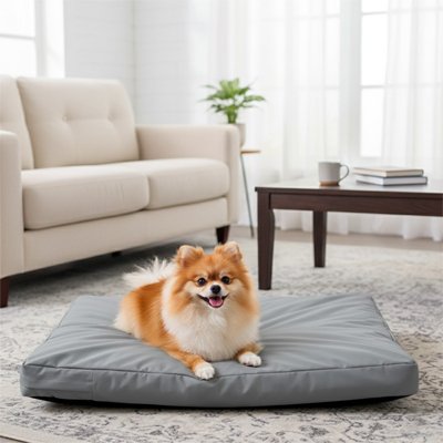 Coussin pour Chien 