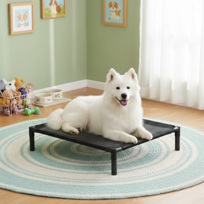 Lit pour Chien surélevé 