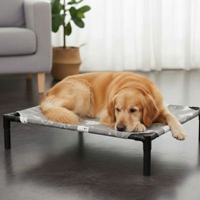 Lit pour Chien surélevé 