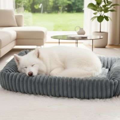 Panier Chien 