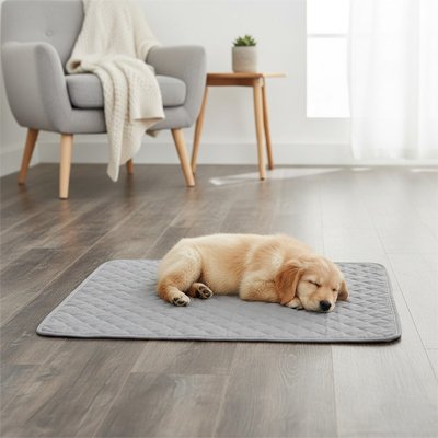 Tapis pour Chien 