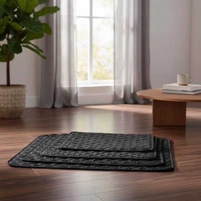 Tapis pour Chien 