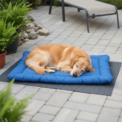 Tapis pour Chien 