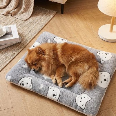 Tapis pour Chien